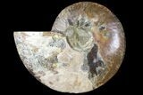 Cut Ammonite Fossil (Half) - Agatized #121488-1